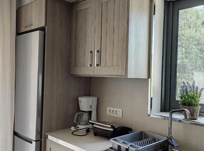 Iris Complex * Frinion