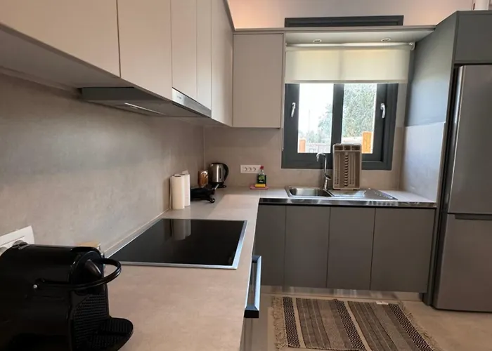 Iris Complex * Frinion